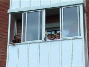 ����� �� ������� ������������ � ����������� ������