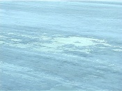 ���� �������� ����� ���� �� ����������