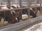 ��������� ��� ��������������� ���������� ������� ������