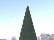 ��������� ����������� ��������� �� ������������ �������� �������