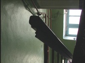 �������� �������� ������������ ������� ����������� �����������