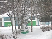 � ����������� ������ ��������� �������� ���������� ����