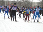 ����� ������ 2015