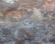 �� ����� 30 ��� ����� �� ����������� ��������� ������� ������������ ������