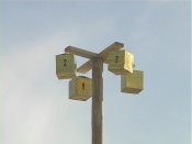 ��������� ��������� ����