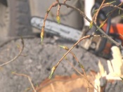 �� ����� 30 ��� ����� ����� ������� ������