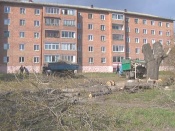 �� ����� 30 ��� ����� ����� ������� ������