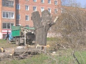 �� ����� 30 ��� ����� ����� ������� ������