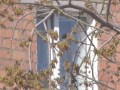 �� ����� 30 ��� ����� ����� ������� ������