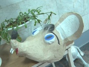 ���������� �����, ��� ���������� ��������� ��� ���������