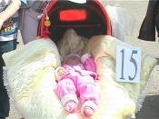 � ������ �������� ����������� ���� �������