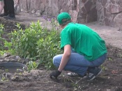 ����� ������ ���� ������ �������� ������