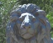 ��������� ��� ������ ���� �� �������������