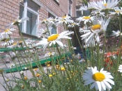 � ������ �������� ������� �������-������� �������� ������� 