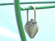 ��������� ���� ���� ����� ����� ��������