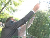 ��������� ���� ���� ����� ����� ��������