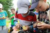 ���� � ����