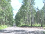 �� ������������� ������ �������� - ����� �����