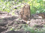 �� ������������� ������ �������� - ����� �����