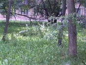 �������� ������ ������ ��������� �� 30 ��� �����