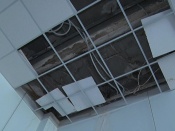 � ����� ������� ������ ������