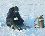 ����� ���� ����� �� �������� ����������� ��������