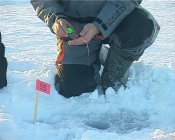 ����� ���� ����� �� �������� ����������� ��������