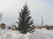 � ������ �������� ���������� ����������� ���