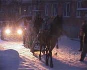 ���� �� ����� ����� �������� �������