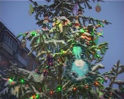 ���� �� ����� ����� �������� �������