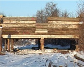 ����� ���� ����� ���� �������