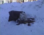 �� ����� ������ � �������� ��� ��������� �������