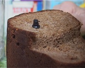 ���� � ��������� ������ ����������� �����������