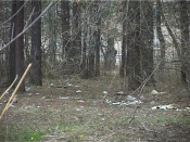 ������ ��� ��� � ����� ����� ������ ���������