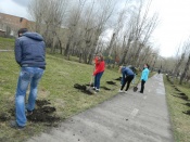 ����� ������ � ������ ������ ���������