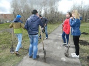 ����� ������ � ������ ������ ���������