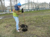 ����� ������ � ������ ������ ���������