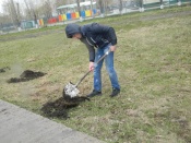 ����� ������ � ������ ������ ���������