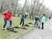 ����� ������ � ������ ������ ���������