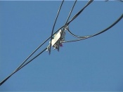 ������ ������� ������ ����� �������� ��������� �� ���� ������� ������� ������ ������