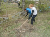 ���������� �� ��������� ������ ���� �����������