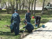 ����������� ��������� ������� ������� � ��������� �������