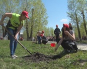 ����������� ��������� ������� ������� � ��������� �������