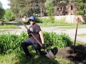 ����� �����������