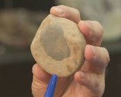 ���������� ���� ��������� ��������� �� ������� �������