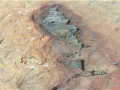 ���������� ���� ��������� ��������� �� ������� �������