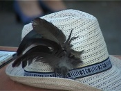 � ������ �������� ����� ����� ���� ��������� �������