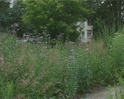 �� ����� ������ � ������ ����� ������� ������ �����