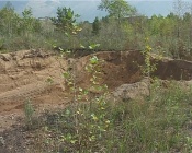 �� ����������  ������ �������� ������������ ���������� ������ ���������� �����