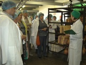 Первые аграрные классы в крае откроют в Назаровском районе